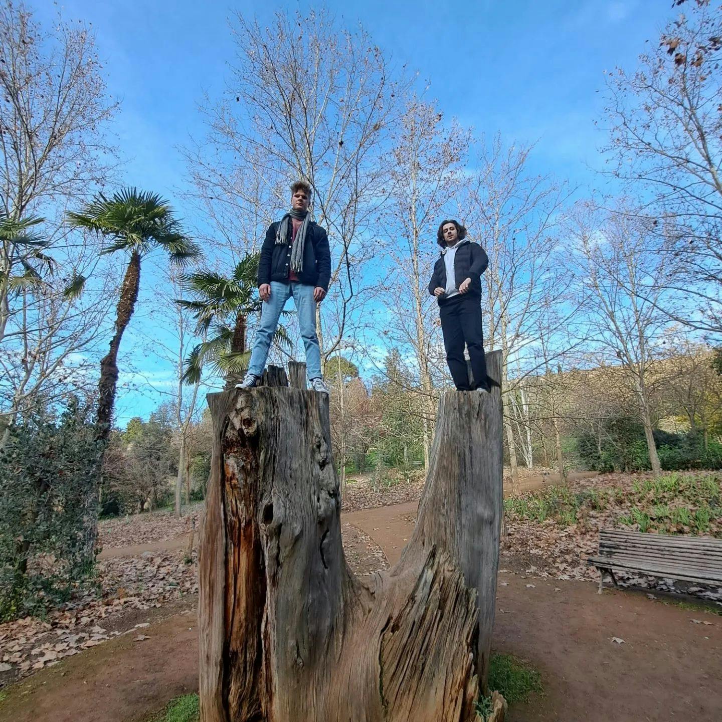 Two guys from ZSE standing on a tree